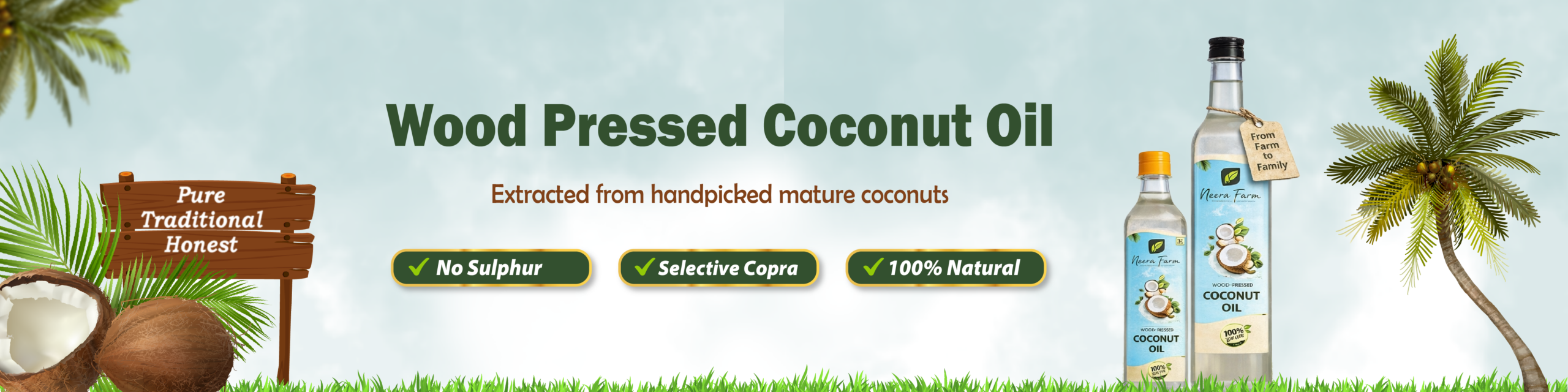 coco Web banner 01 scaled